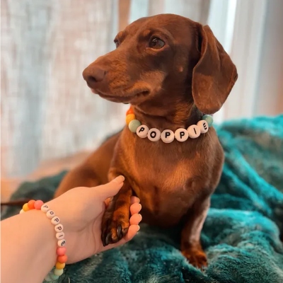 Personalized Names Beaded Dog Collar, Dog Owner Bracelet, Multi Color Pet Collar, Pet Accessories, Gift for Pet Lover/Owner