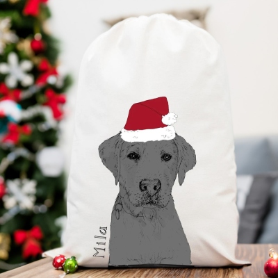 Personalized Pet Portrait Christmas Gift Bag, Custom Name Christmas Treat Bag, Christmas Party Decoration, Christmas Gift for Pet Lover/Family