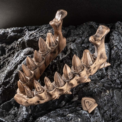 3D Printing Dragon's Teeth Dice Set, Dice Holder with Dragon Fang Dice Set, Fantasy DND Dice Set, Unique Dice Set, DND Gifts