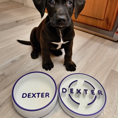 Custom Name Slow Feeder Dog Bowl for Small Medium Large Breeds, PLA Puzzle Bowl for Slow Eating, Maze Dog Food Bowl Slow Feeder, Gift for Dog Mom/Dad