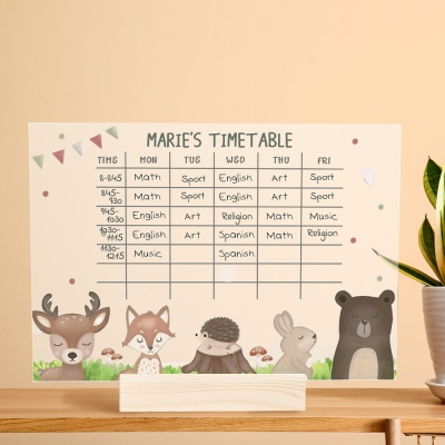 Personalized Acrylic Transparent Wipeable School Timetable with Marker Pen, School Supplies, Back to School/Birthday Gift for Students/Girls/Boys