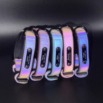 Custom Reflective Dog Collar, Custom Engraved Pet ID Tag, Keep Your Pets Safe, Personalized Collar, Rainbow-Like Colors, Stylish Dog Collar