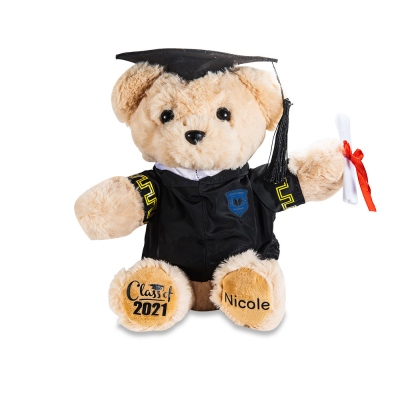 Custom-built Graduation Teddy Bear with School Badge