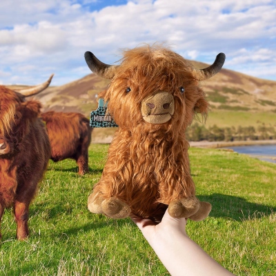 Custom Highland Cow Plush Animals Toy with Ear Tag, Weighted Soft Stuffed Plushy Doll, Farm Cattle Branding, Cute Perfect Pets Gift for Girls/Kids/Baby