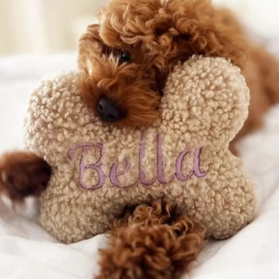 Personalized Embroidered Bone Shaped Plush Toy with Name, Custom Initials Soft Toy for Dog, Pet Supplies, Birthday Gift for Pet Lovers/Dog Owners