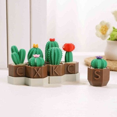 Personalized 3D Printed Mini Cactus Clicky Fidget Toy with Initial,  Stress Relief Desk Companion, Birthday Gift for Plant Lovers/ADHD/Adults