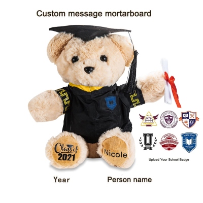 Custom-built Graduation Teddy Bear with School Badge