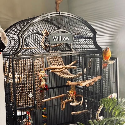 Personlig namnskylt för husdjur, 3D-tryckt namnskylt för bur, namnskylt för kennel, namnskylt för husdjur för bur, namnskylt för hästbox, present till hund/mamma/husdjursägare