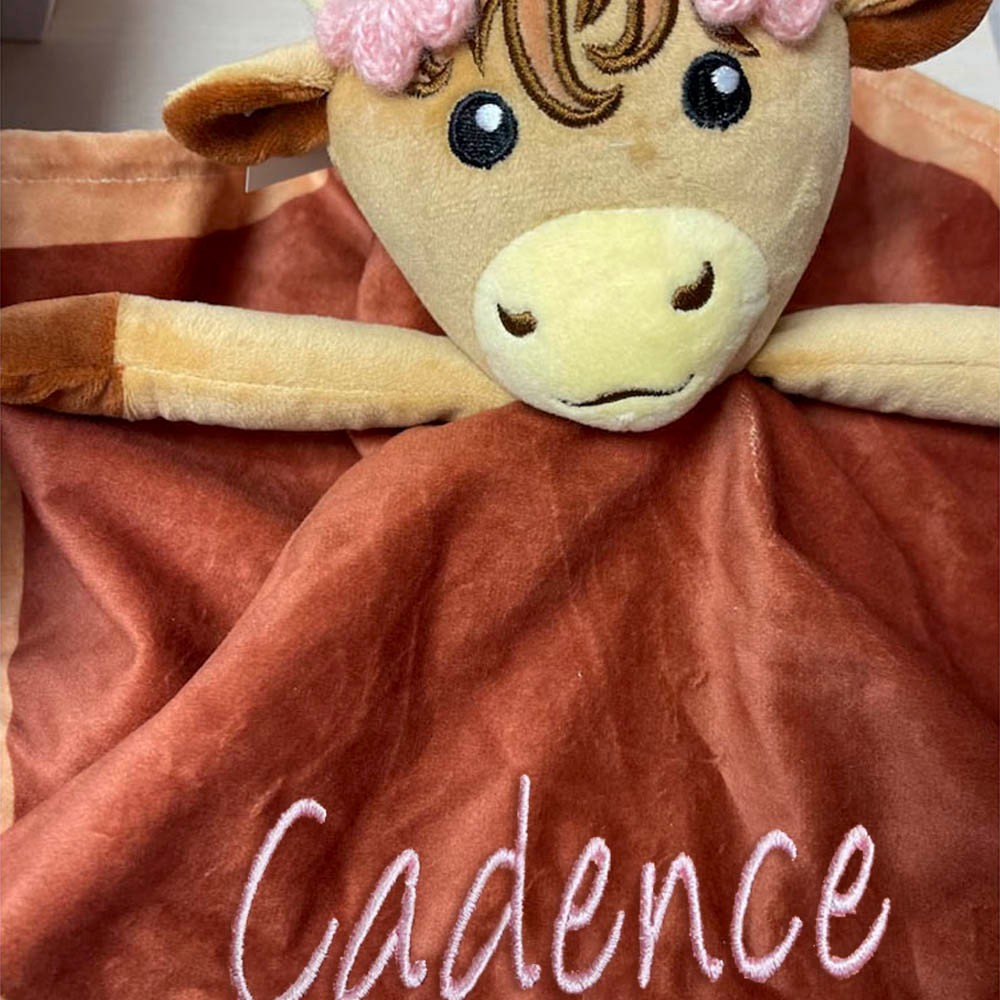 highland cow