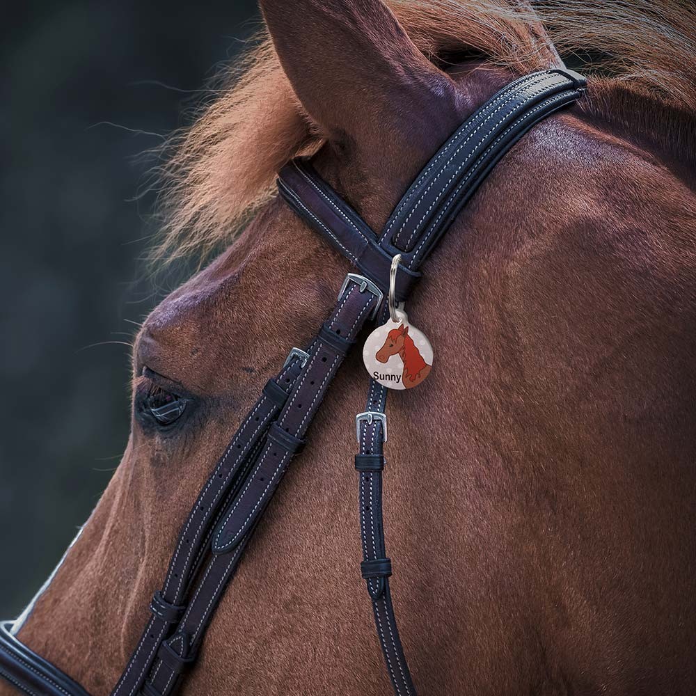 Equestrian Horse ID Tag