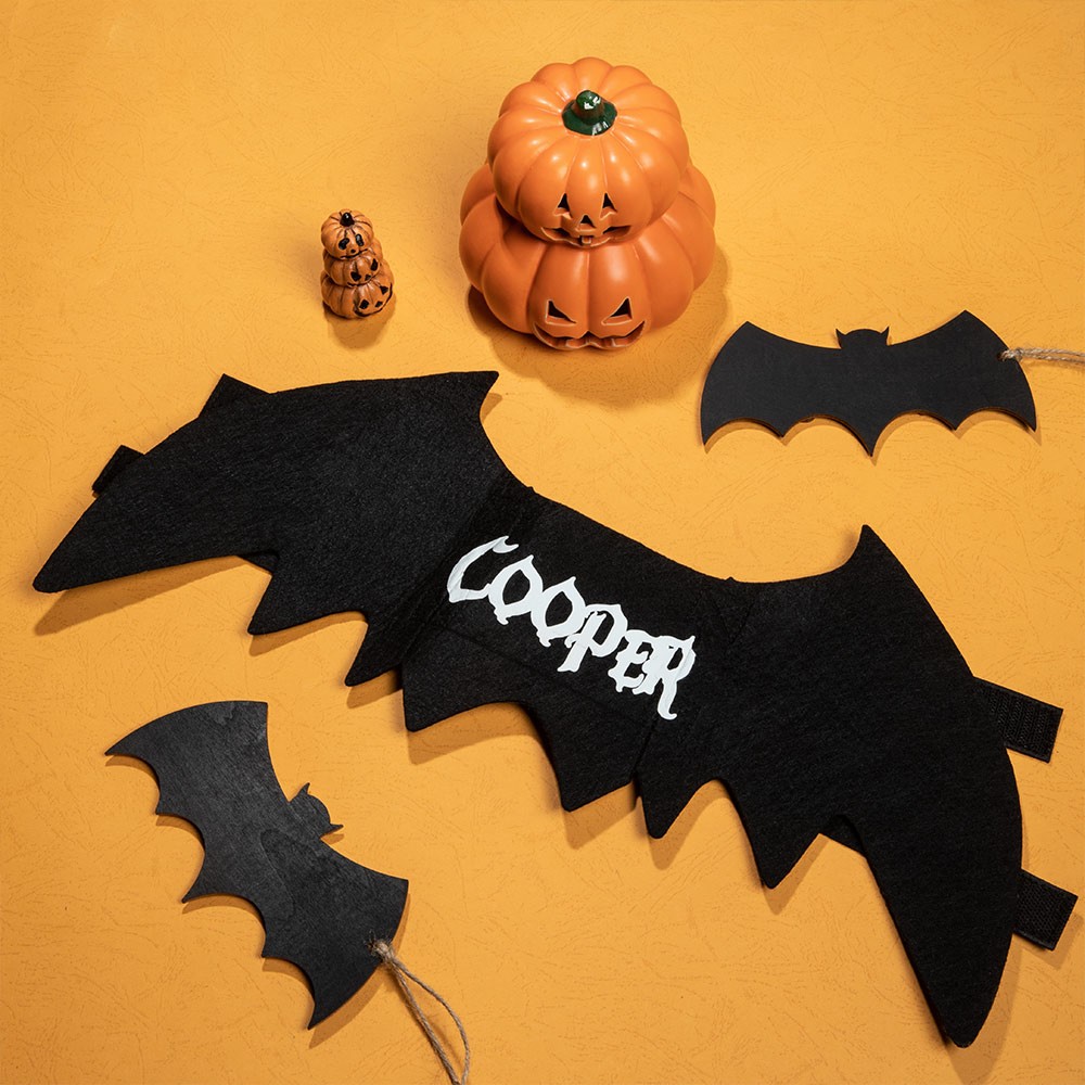 Personalized Halloween Bat Wing Pet Costume