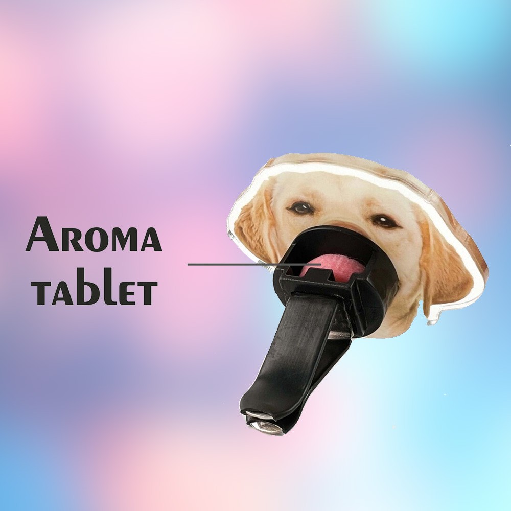 Aroma Tablet