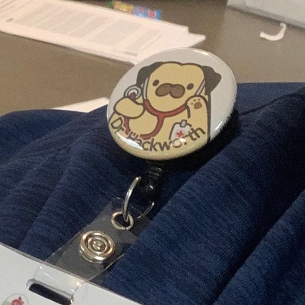 Personalized Name Stethoscope Animal Badge Reel, Cute Doctor Lanyard, Nurse ID Holder, Nursing Student Decoration, Gift for Doctor/Nurse