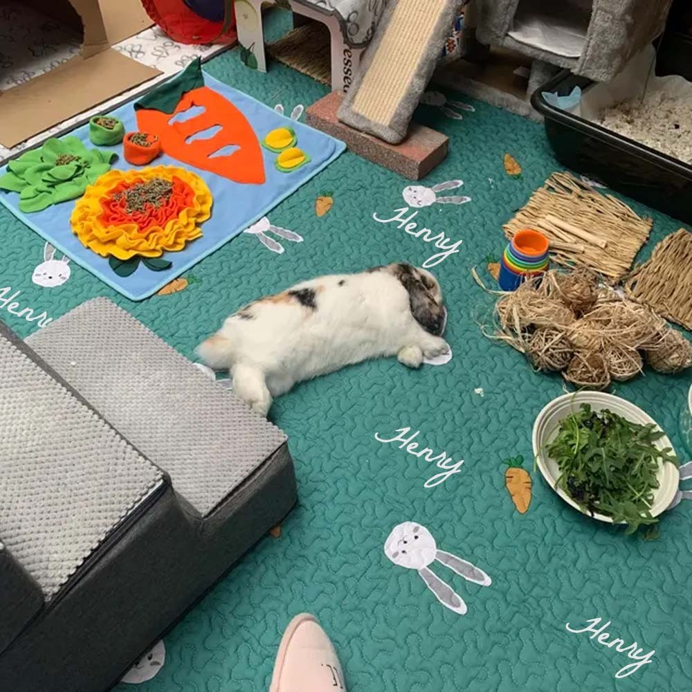 Tokihut Washable Non-slip Pet Playpen, Xpen Floor Mat Rug Playmat for Dogs/Kittens/Rabbits