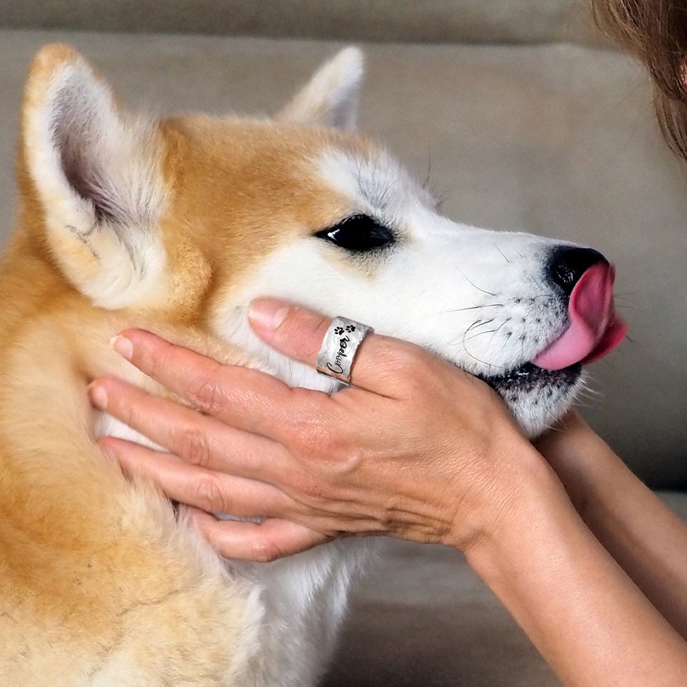 cadeau amoureux des animaux de compagnie