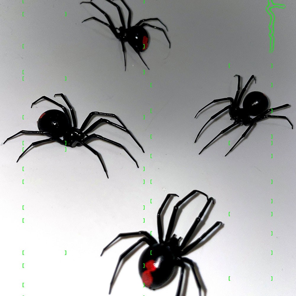 Plastic Black Widow Spider As An Earring, Realistic Latrodectus Hesperus, 1 pcs