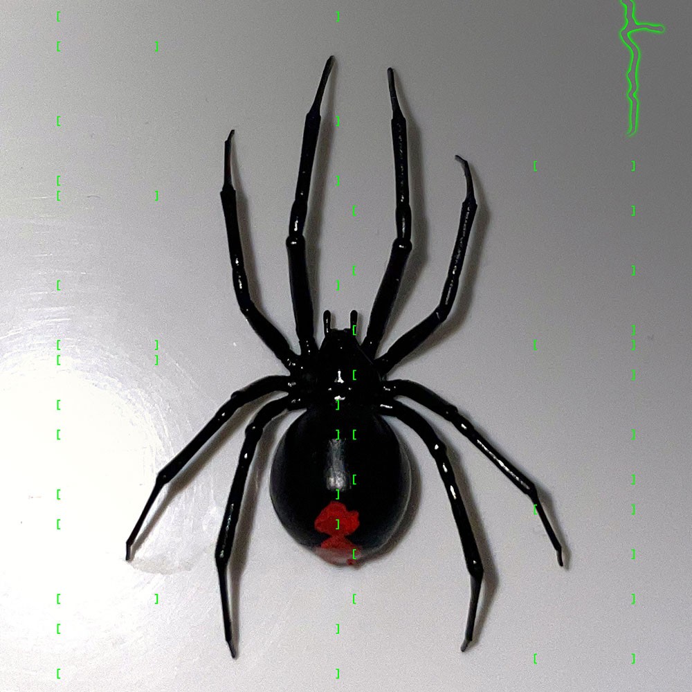 Plastic Black Widow Spider As An Earring, Realistic Latrodectus Hesperus, 1 pcs