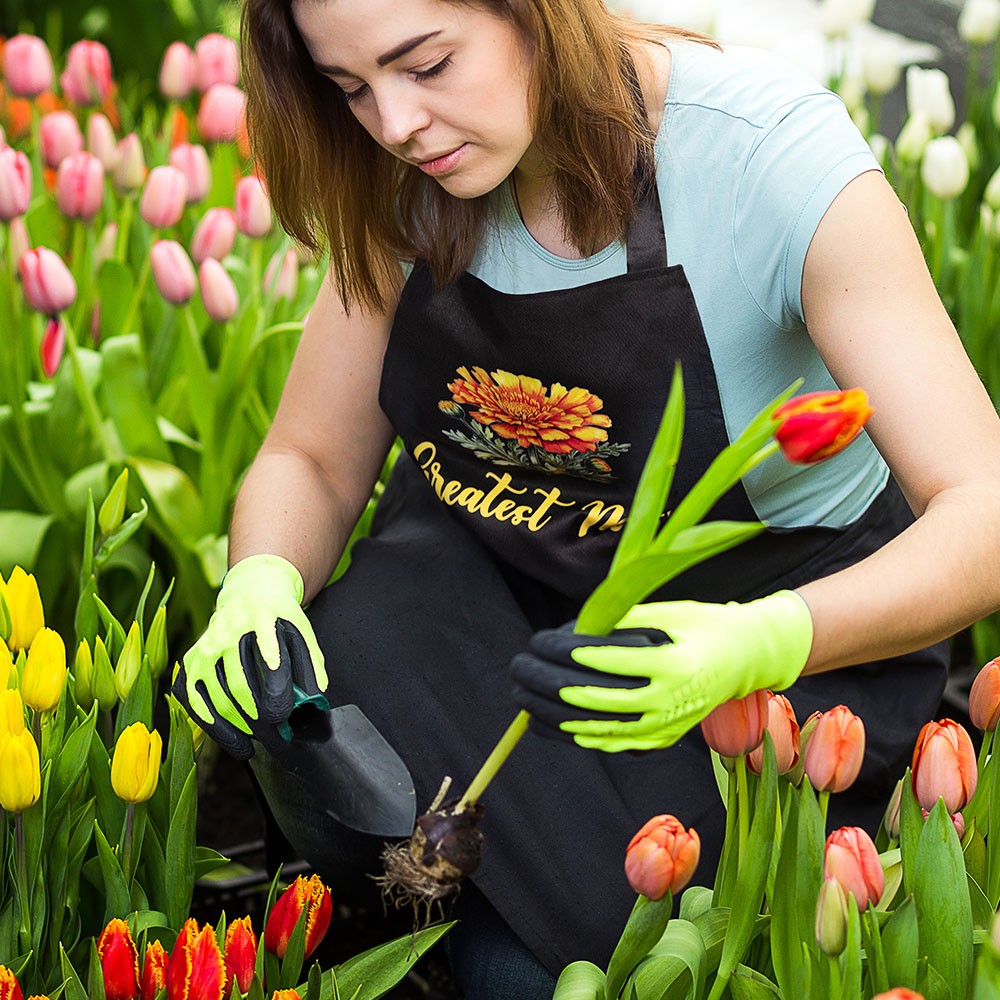 aprons for cooking