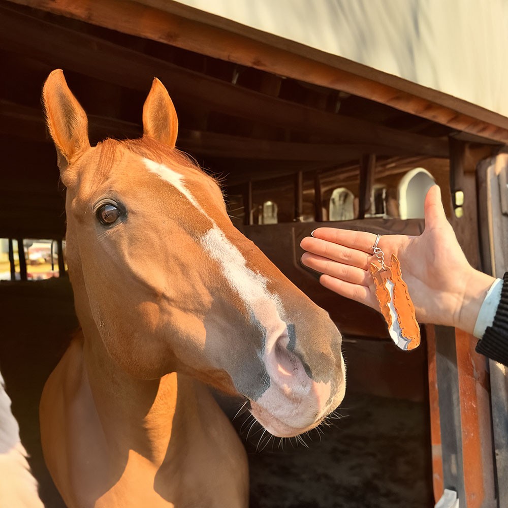 paardensport aandenken