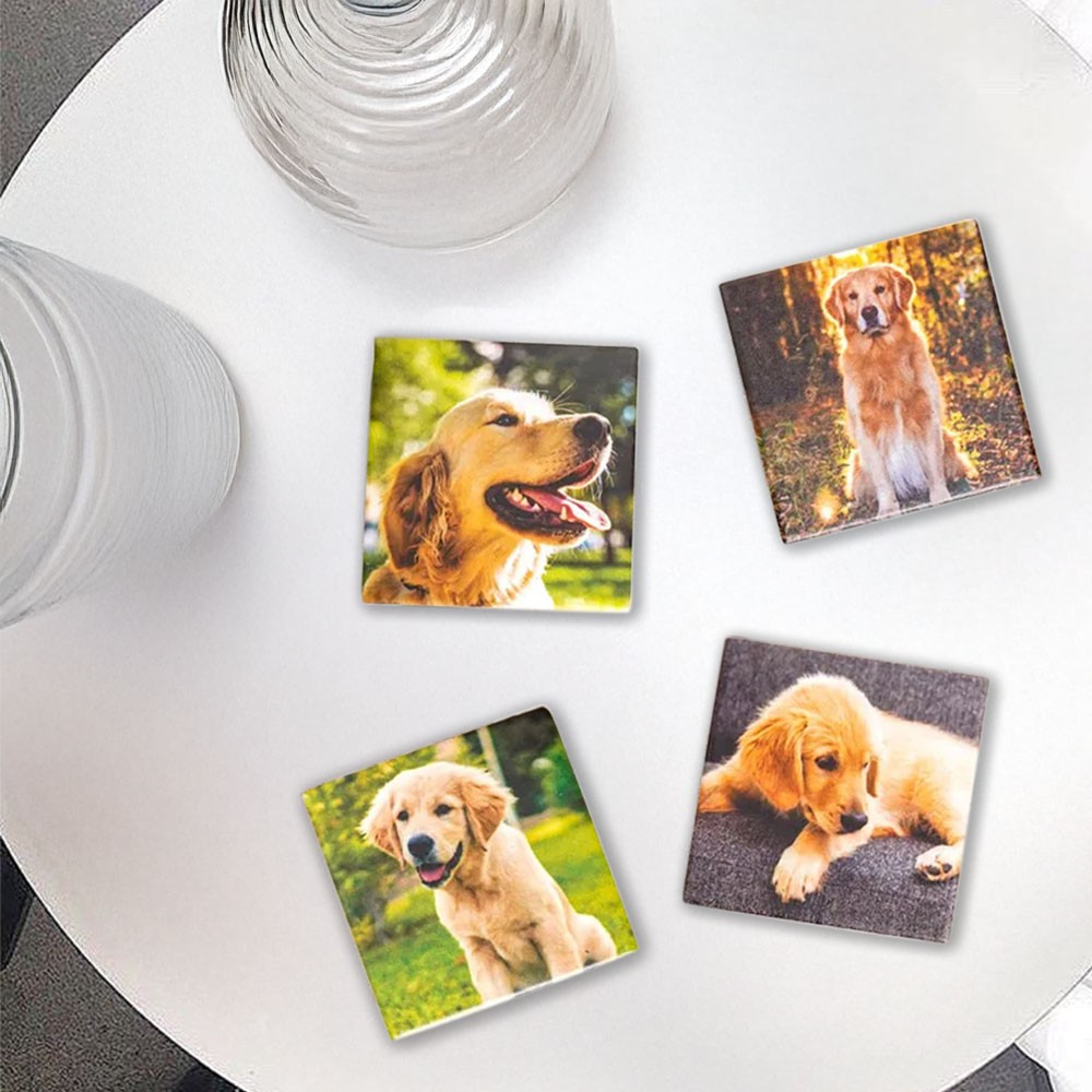 Personalized Pet Photo Coaster