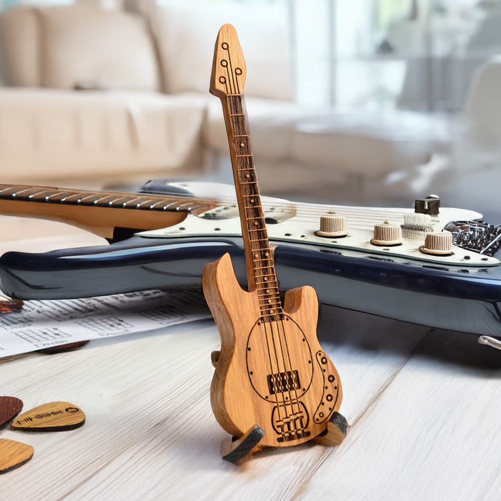 guitar pick case