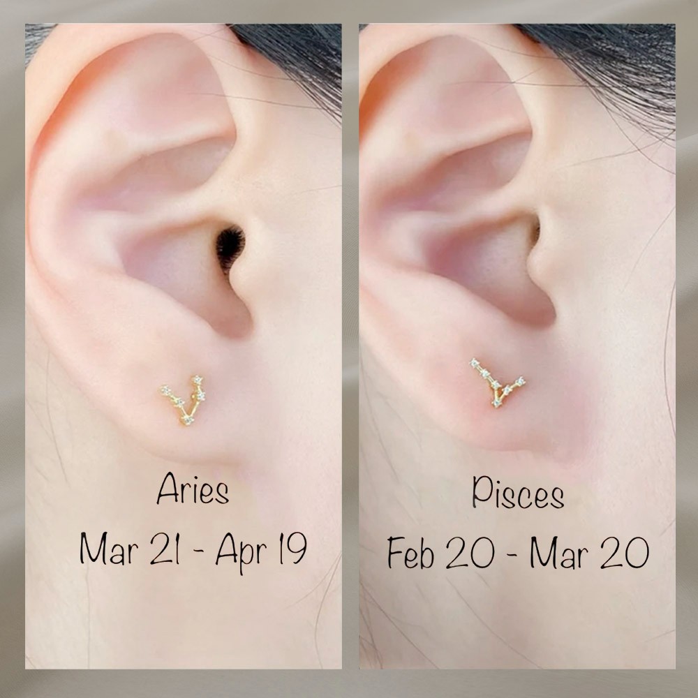 constellation earring