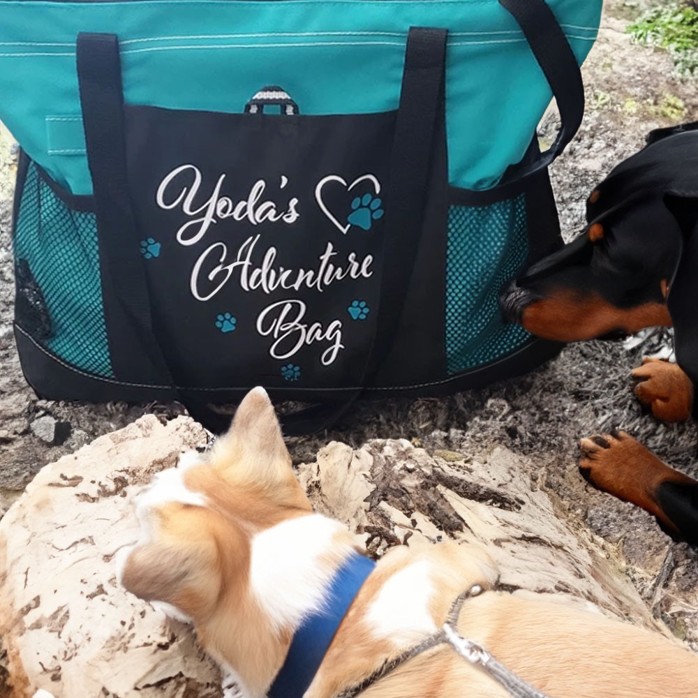 Personalisierte Doggie Things Haustier Tragetasche mit Reißverschluss, Personalisierte Reisetasche für Haustiere, Geschenk für neue Welpen, Geschenk für Haustierpfleger für Tierliebhaber/Tierbesitzer