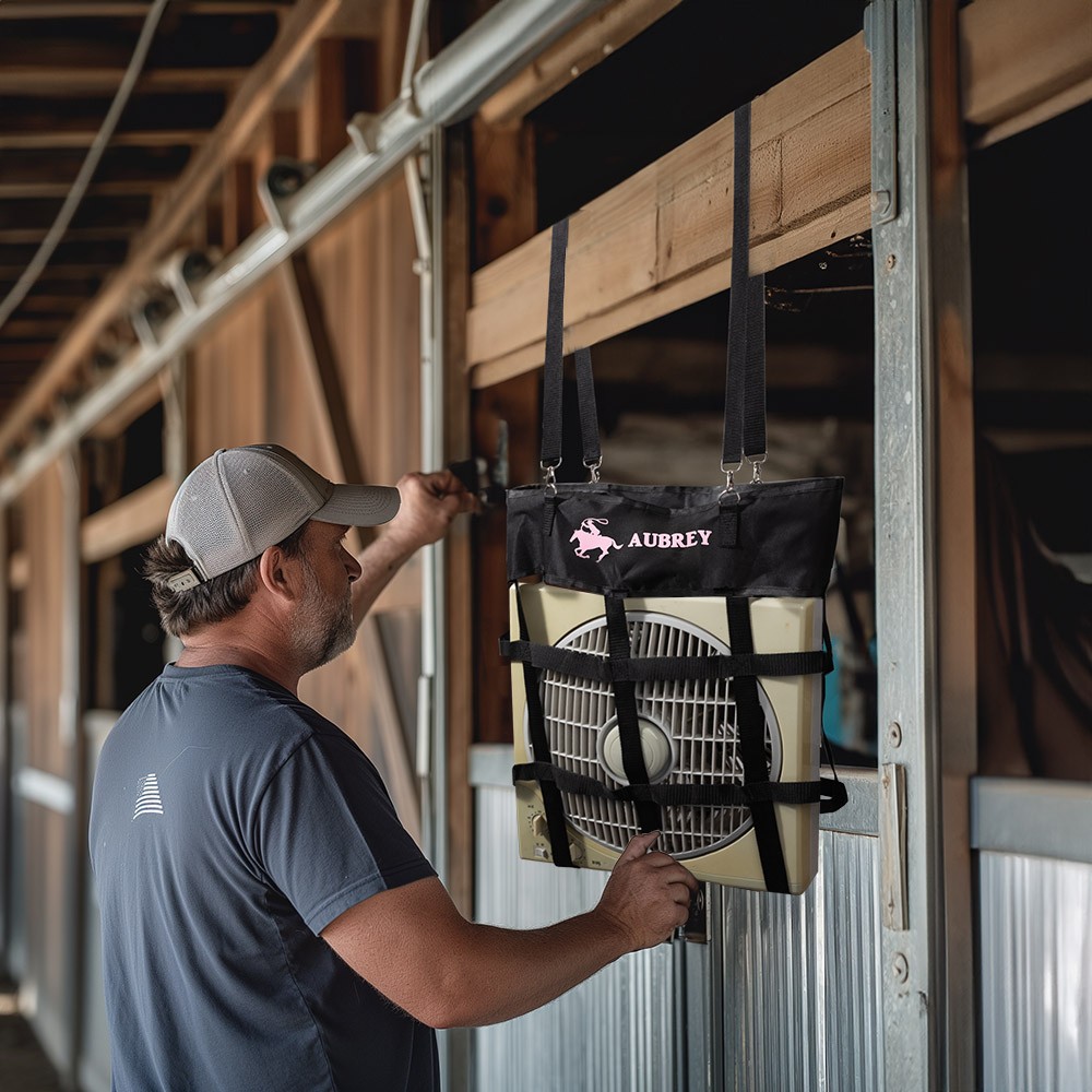 Horse Show Fan Holder