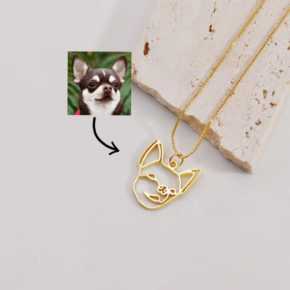 Pet Necklace