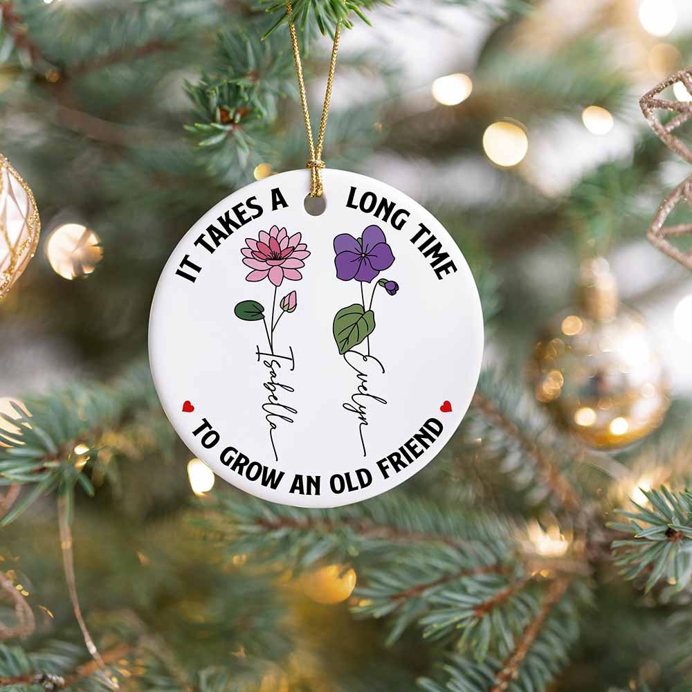Personalized Birth Month Flower Ornament, Friendship Ornament, It&#39;s Take A Long Time To Grow An Old Friend Ornament, Sister Ornament Gift