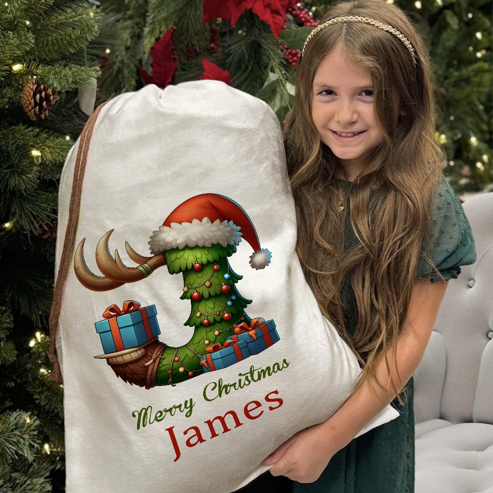 christmas cartoon sack