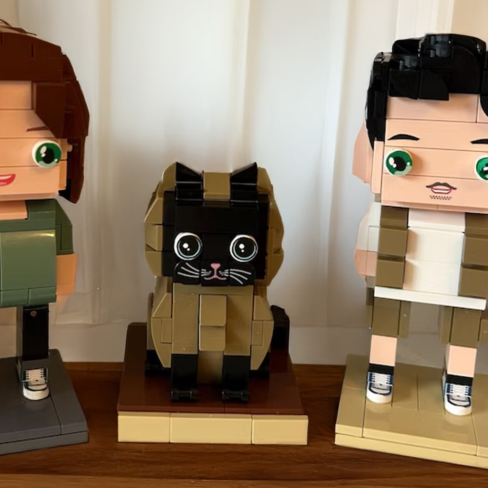 custom brick figure