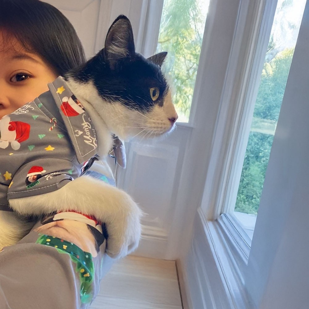 matching dog and owner pajamas