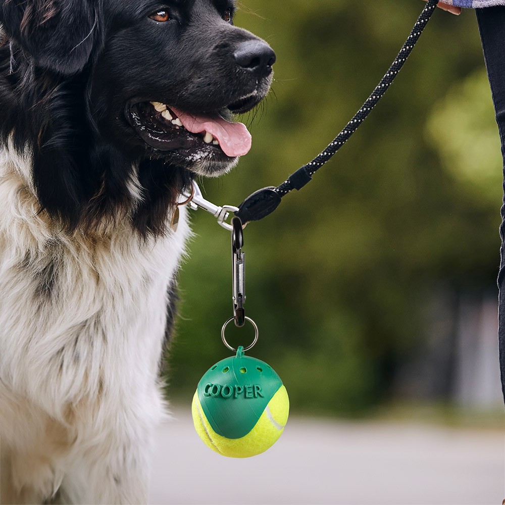 dog toy ball holder