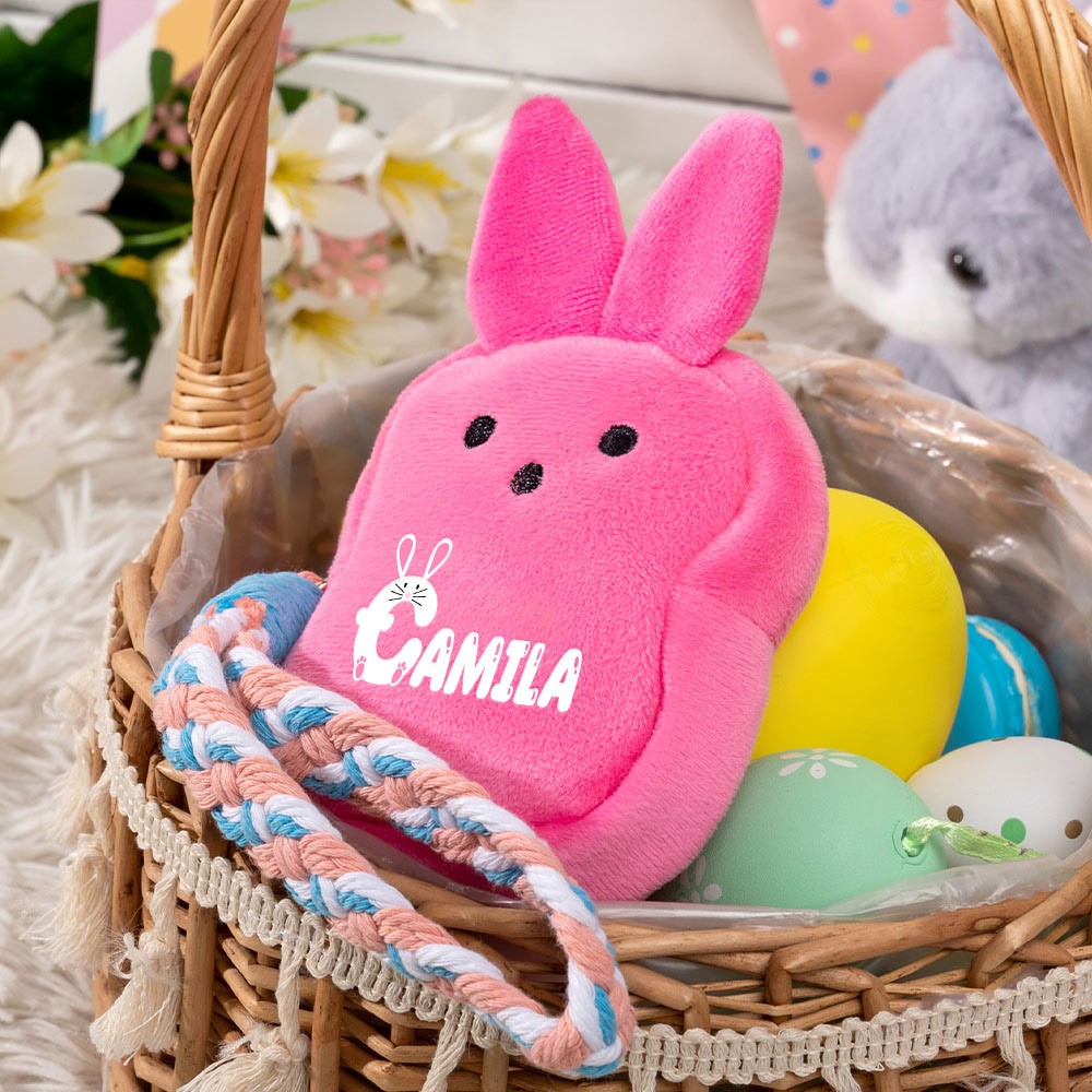 Easter Cartoon Bunny Coin Purse