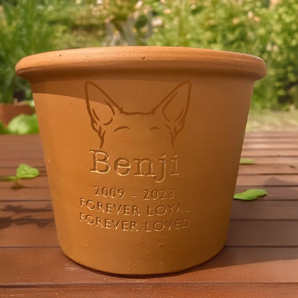 plant pot