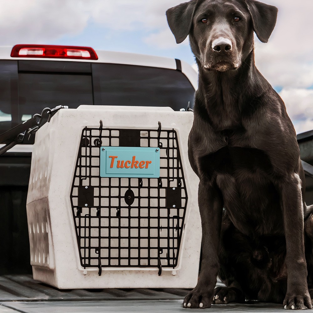 dog crate tray