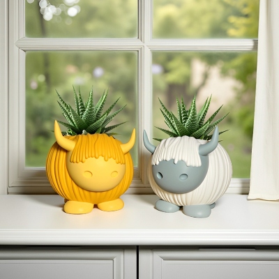 Flower Pots