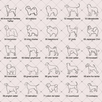 pet lovers