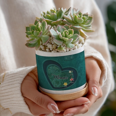 Custom Plant Pot