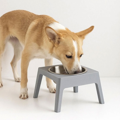 Personalized Elevated Pet Bowl Stand with Name, 3D Printed Colorful Cat/Dog Food & Water Feeder Holder, Pet Neck Friendly, Gift for Pet Lovers/Owners