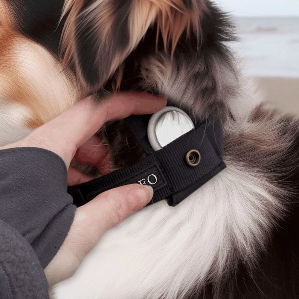 Airtag Hundehalsband Mit Sicherer Innentasche – Reflektierend, Größe M (36,8–49,5 Cm), Schwarz, Wasserbeständig