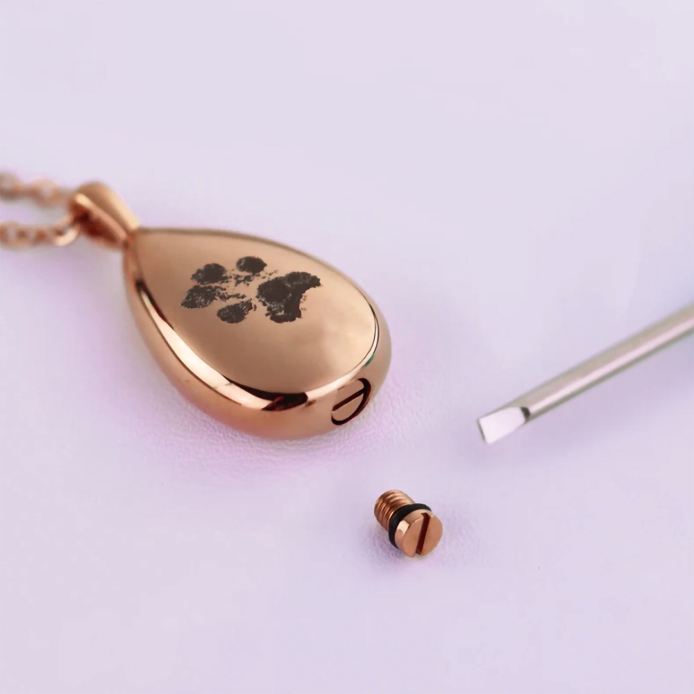 Collana con urna a farfalla personalizzata Urna per animali