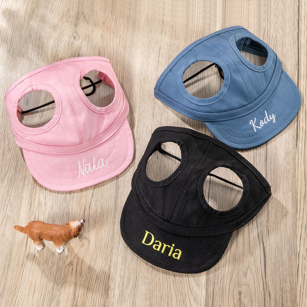 Personalized Dog Hat for Dog