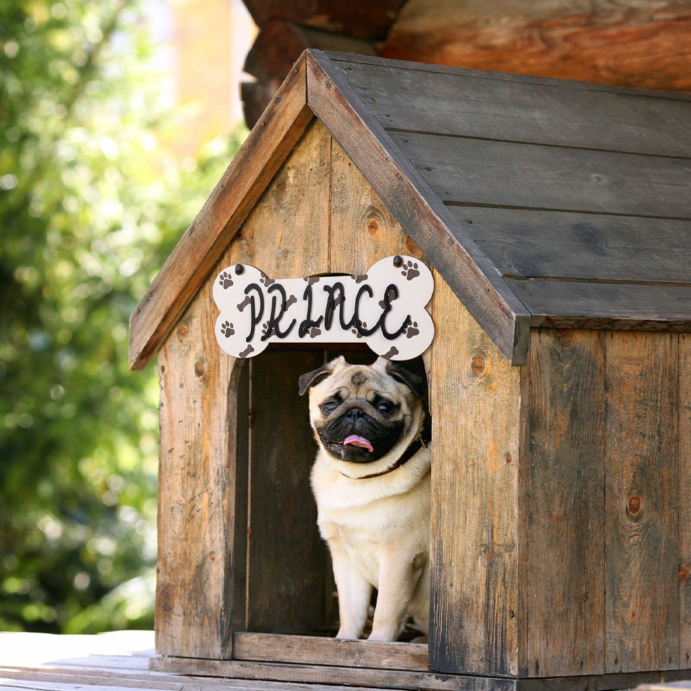Aangepaste naam Bone Crate Sign, Dog Sign, Dog Room Decor, Dog Kennel Sign, Hanging Crate Sign, Cadeau voor Pet Lovers/Dog Mom, Pet Memorial Gift