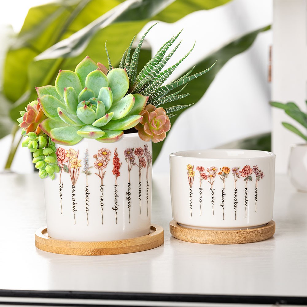 small plant pots