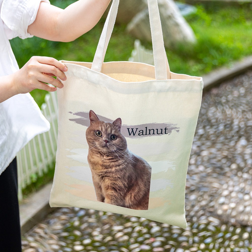 sac fourre-tout chat