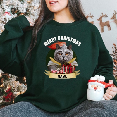 DND Class Cat Hoodie, Cat Sweatshirt, Pet Hoodie, Pet Sweatshirt, Unisex Sweater, DND Class Sweatshirt, Christmas Gift, Clothes Gifts, DND Gifts