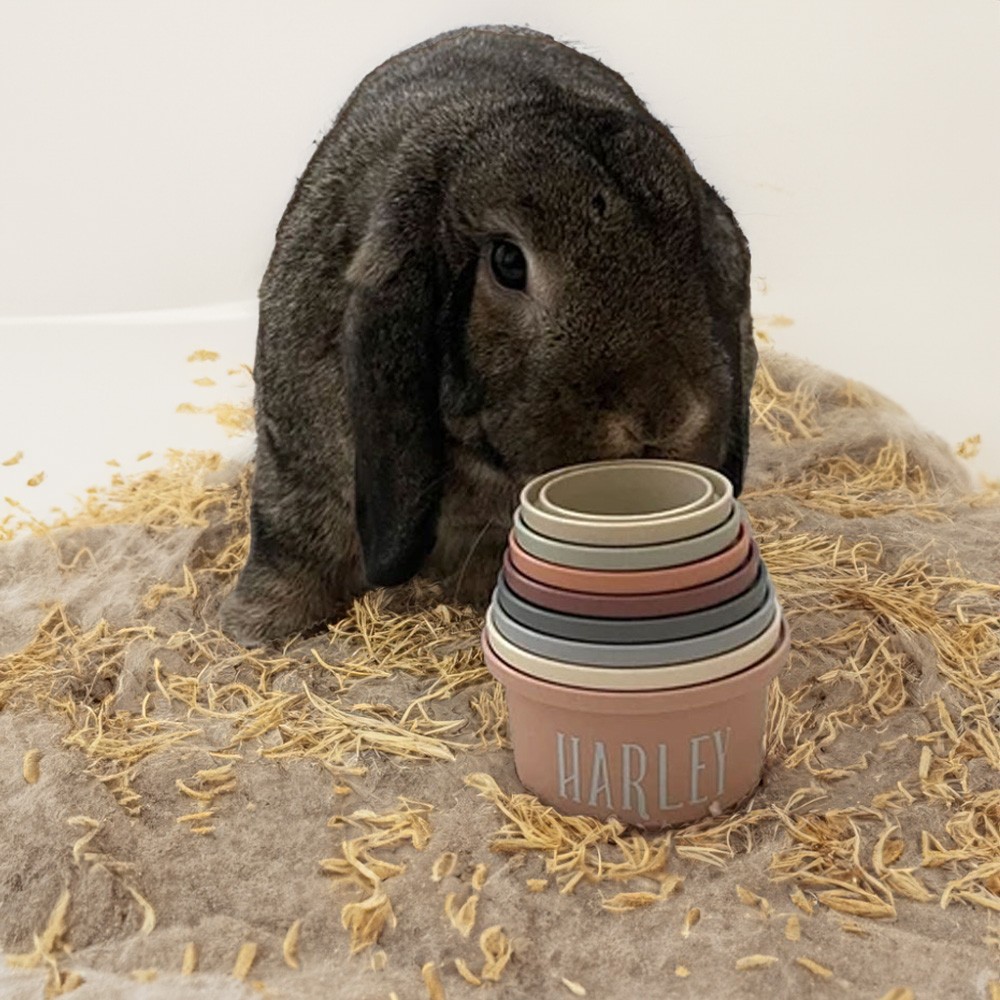 Wheat Straw Bunny Stacking Cups