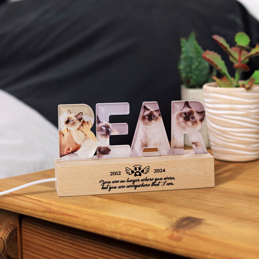 dog memorial picture frame